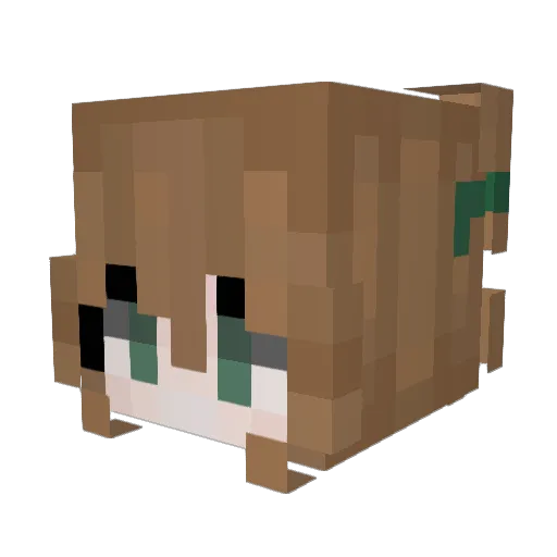 Jalynn222 Minecraft avatar head, 3D render