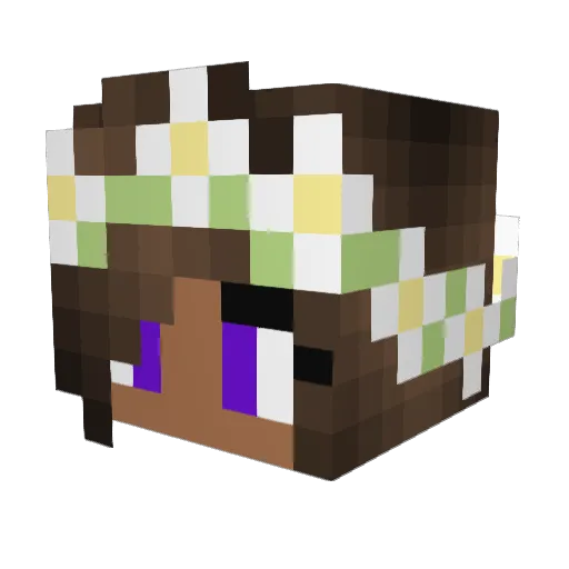 Jalz Minecraft avatar head, 3D render
