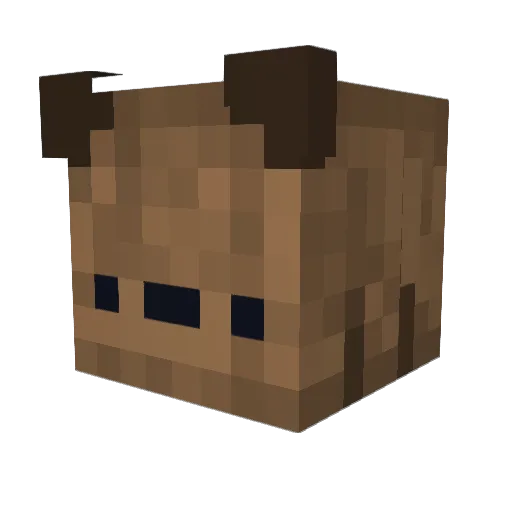 Jam1502 Minecraft avatar head, 3D render