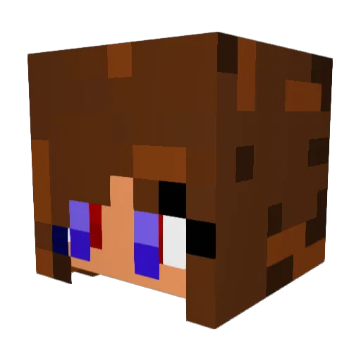 Jam167 Minecraft avatar head, 3D render