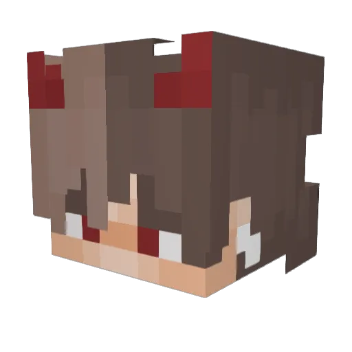 Jam4489 Minecraft avatar head, 3D render