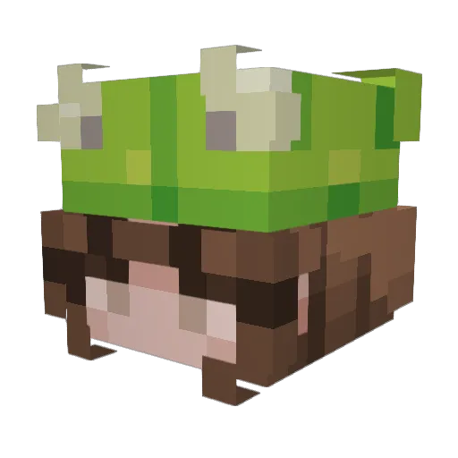 JamGirl1015 Minecraft avatar head, 3D render