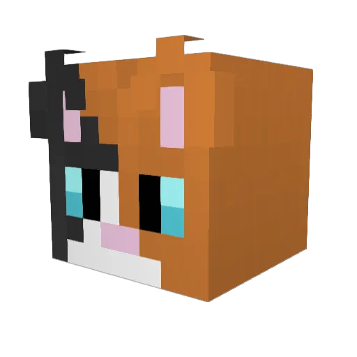 JamKkanManNeo Minecraft avatar head, 3D render