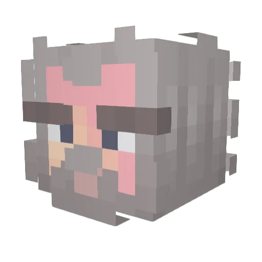 JamaicaBot19 Minecraft avatar head, 3D render