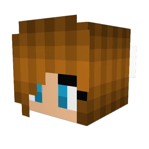 JamandJelly Minecraft avatar head, 3D render