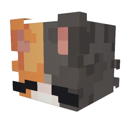Jambreaddd Minecraft avatar head, 3D render
