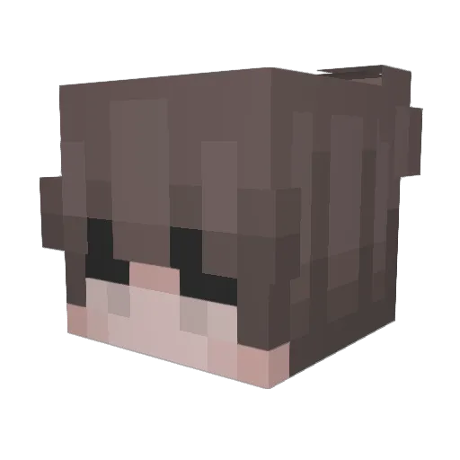 Jamchuwu Minecraft avatar head, 3D render