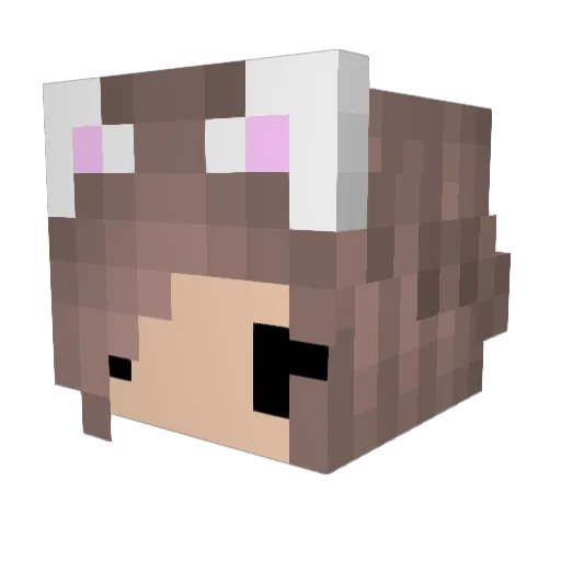 Jameron Minecraft avatar head, 3D render