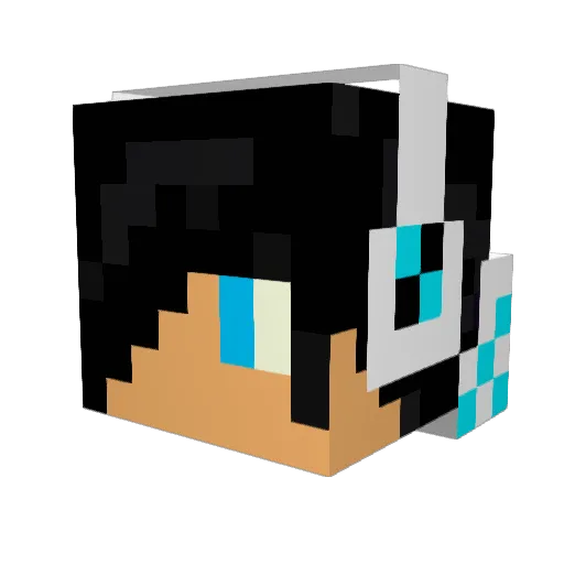 James1234Skywalk Minecraft avatar head, 3D render