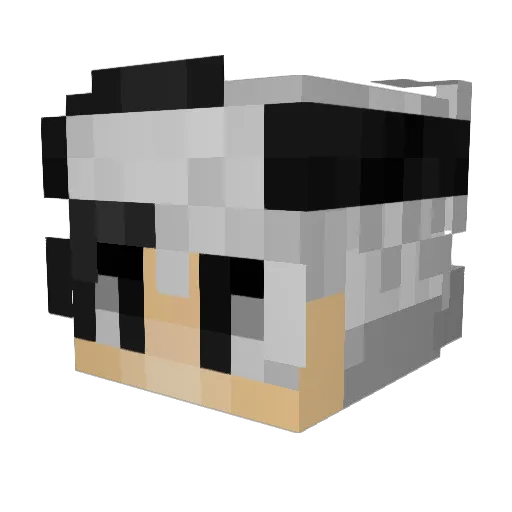James16000 Minecraft avatar head, 3D render
