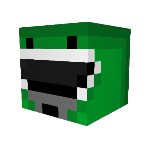 James21247 Minecraft avatar head, 3D render