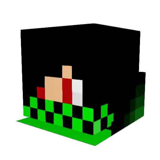 James5608 Minecraft avatar head, 3D render