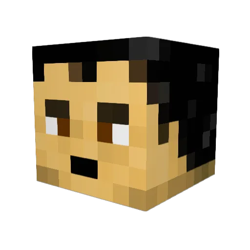James8801 Minecraft avatar head, 3D render