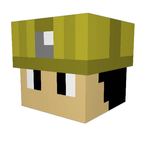 James8LBJ Minecraft avatar head, 3D render