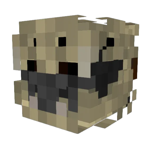 James97 Minecraft avatar head, 3D render