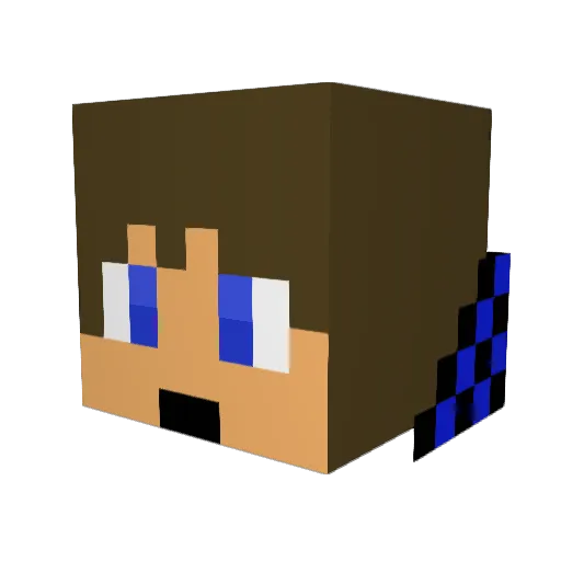 JamesAlvarado Minecraft avatar head, 3D render