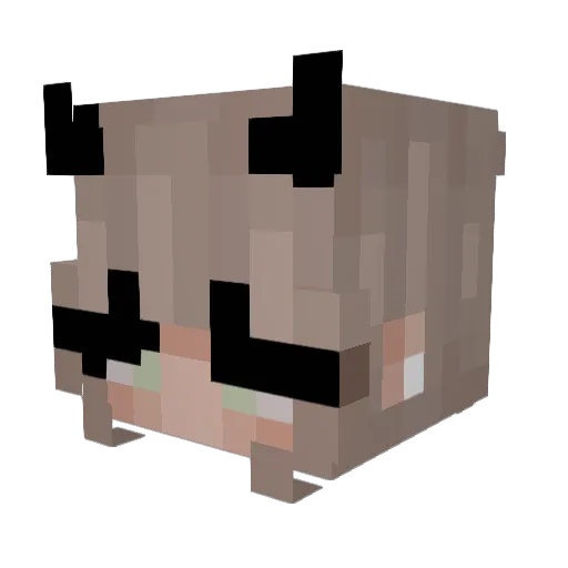 JamesChar1esFan Minecraft avatar head, 3D render