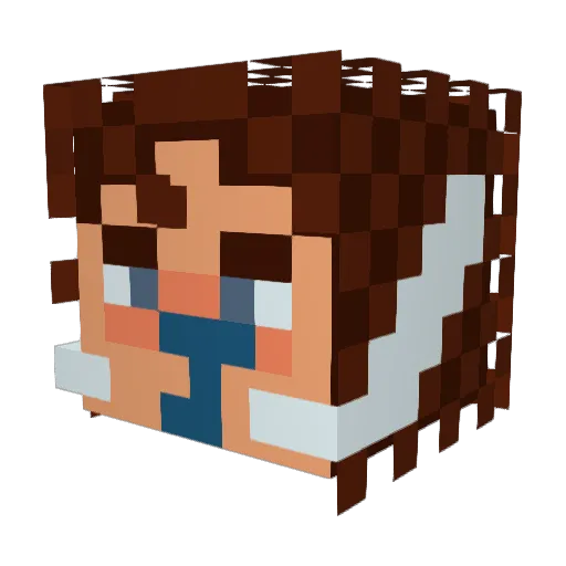 JamesDNS Minecraft avatar head, 3D render