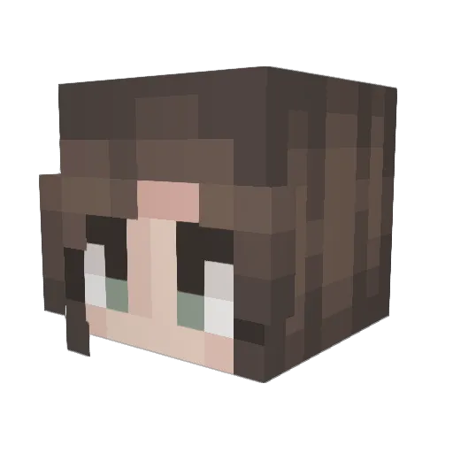 JamesD_2005 Minecraft avatar head, 3D render