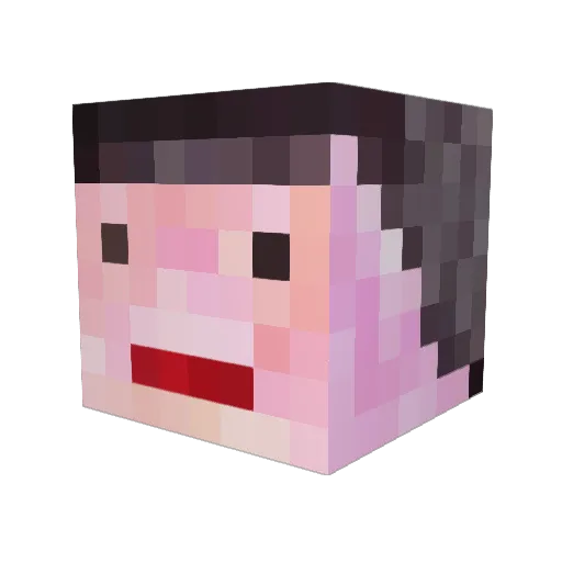 JamesE_R Minecraft avatar head, 3D render