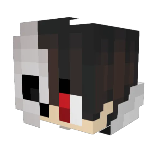JamesHimes123 Minecraft avatar head, 3D render