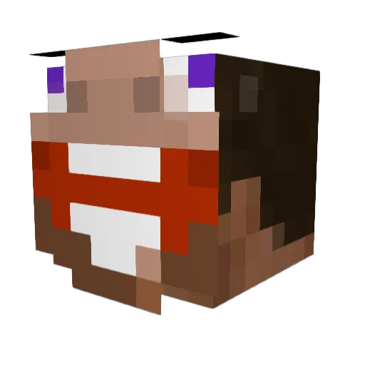 JamesIsSus Minecraft avatar head, 3D render