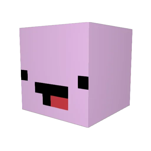JamesIsaac1023 Minecraft avatar head, 3D render