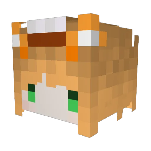JamesMa Minecraft avatar head, 3D render