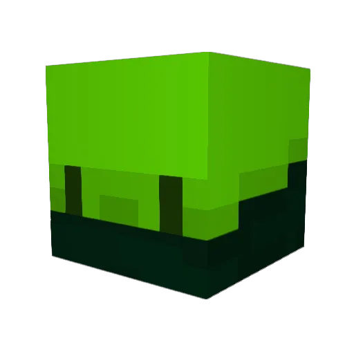 JamesMonkey11 Minecraft avatar head, 3D render