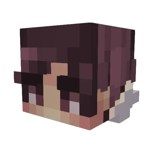 JamesNotGaming Minecraft avatar head, 3D render