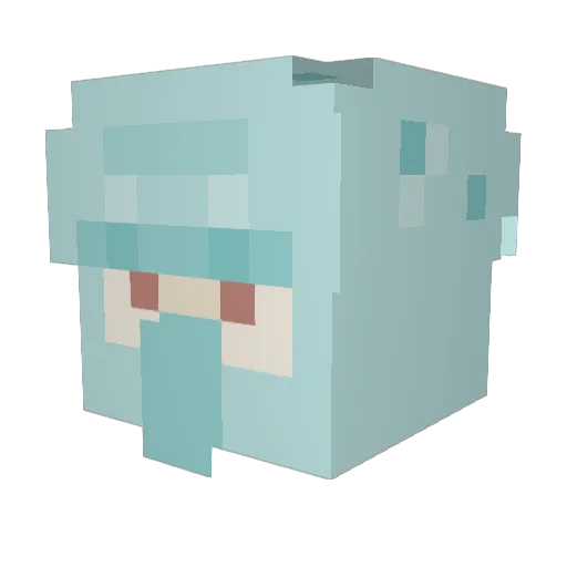 JamesP_ Minecraft avatar head, 3D render
