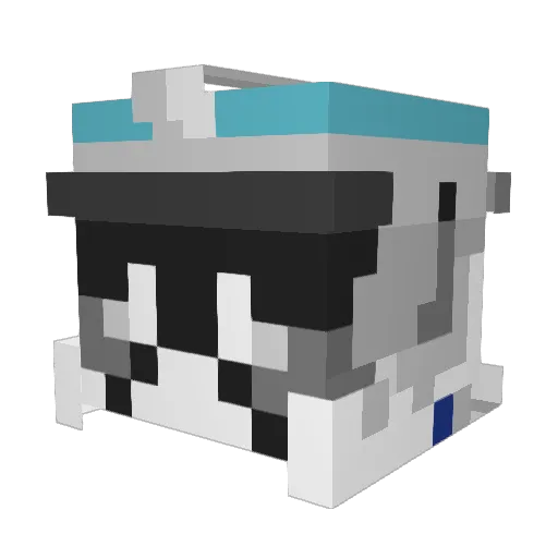 JamesRocks2005 Minecraft avatar head, 3D render