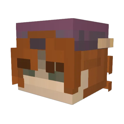 JamesTheLoserr Minecraft avatar head, 3D render