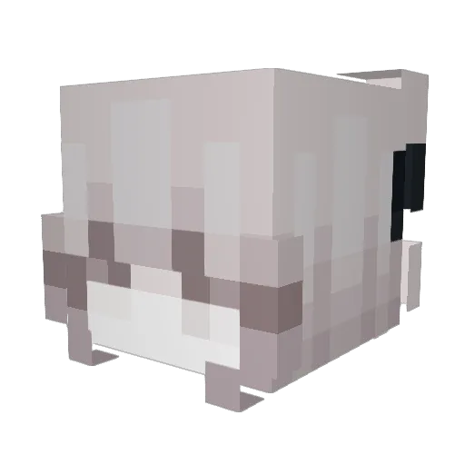 JamesWebb Minecraft avatar head, 3D render