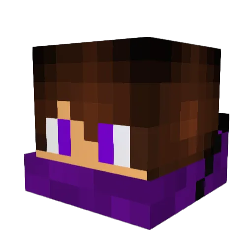 James_314 Minecraft avatar head, 3D render