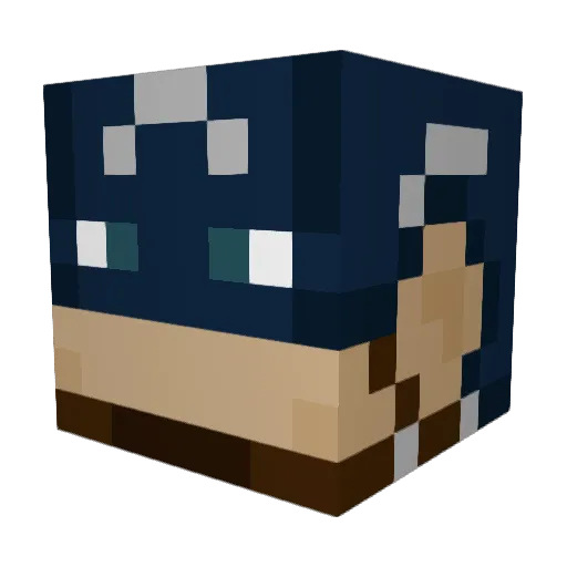 James_S98 Minecraft avatar head, 3D render