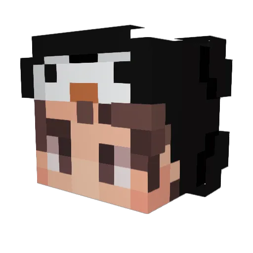 James_Who Minecraft avatar head, 3D render