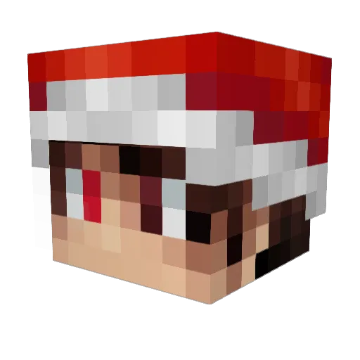 James_legos Minecraft avatar head, 3D render
