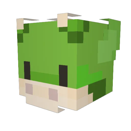James_the_moth61 Minecraft avatar head, 3D render