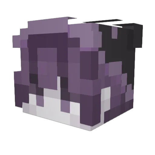 Jamesi12 Minecraft avatar head, 3D render