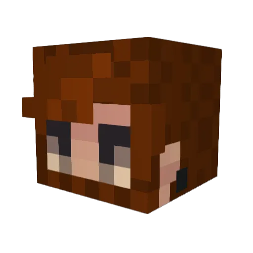 Jamesicus Minecraft avatar head, 3D render