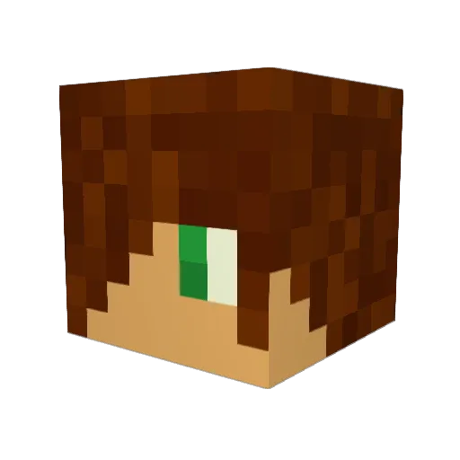 Jamesieboo007 Minecraft avatar head, 3D render