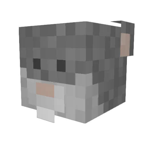 Jameslecoolkid Minecraft avatar head, 3D render
