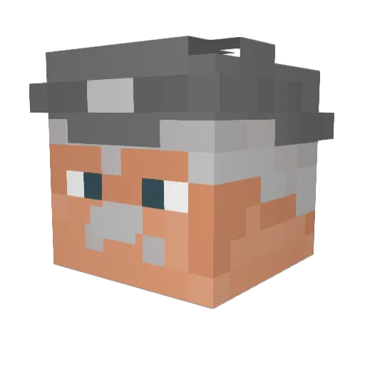 Jameson7676 Minecraft avatar head, 3D render