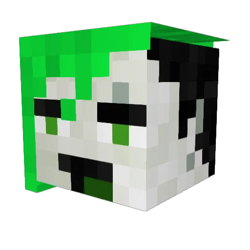 JamesonBlack Minecraft avatar head, 3D render