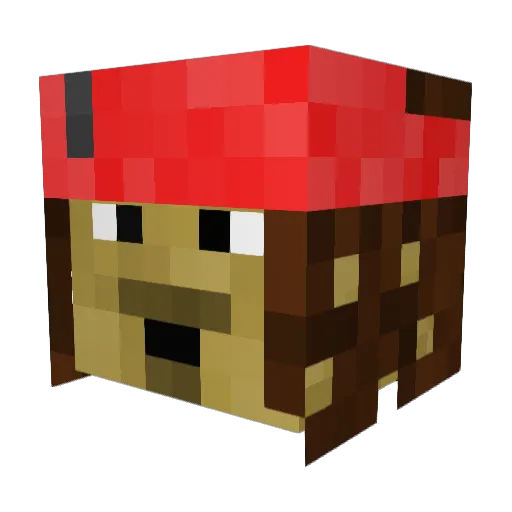 Jamesounet Minecraft avatar head, 3D render