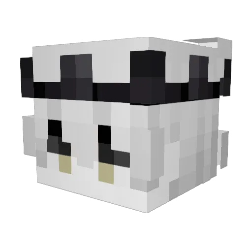 Jamestheoptimist Minecraft avatar head, 3D render