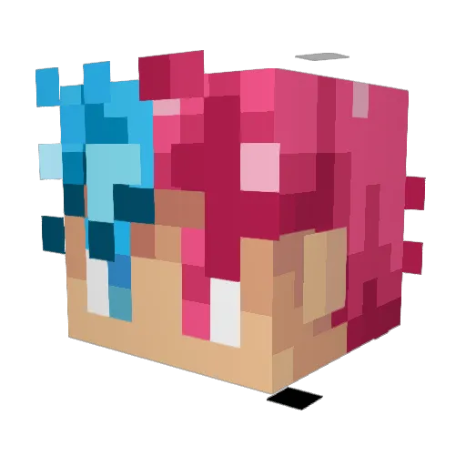 Jamestung1 Minecraft avatar head, 3D render