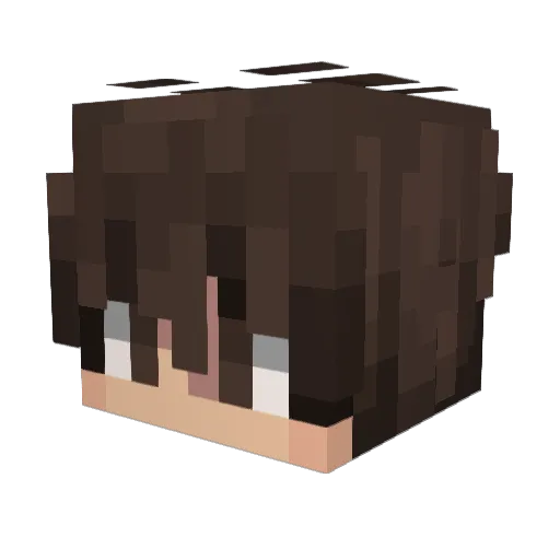 JamezPL0_ Minecraft avatar head, 3D render