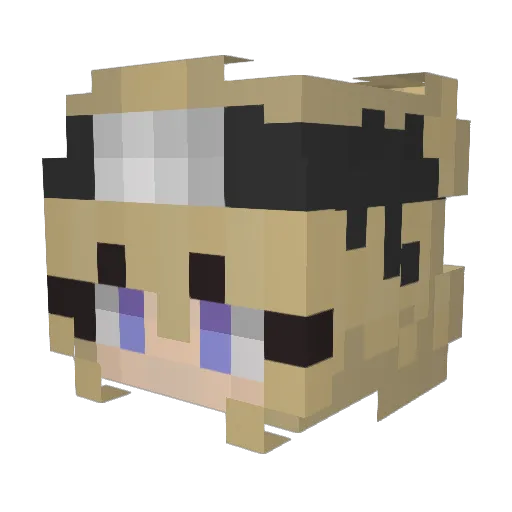 Jameze111 Minecraft avatar head, 3D render